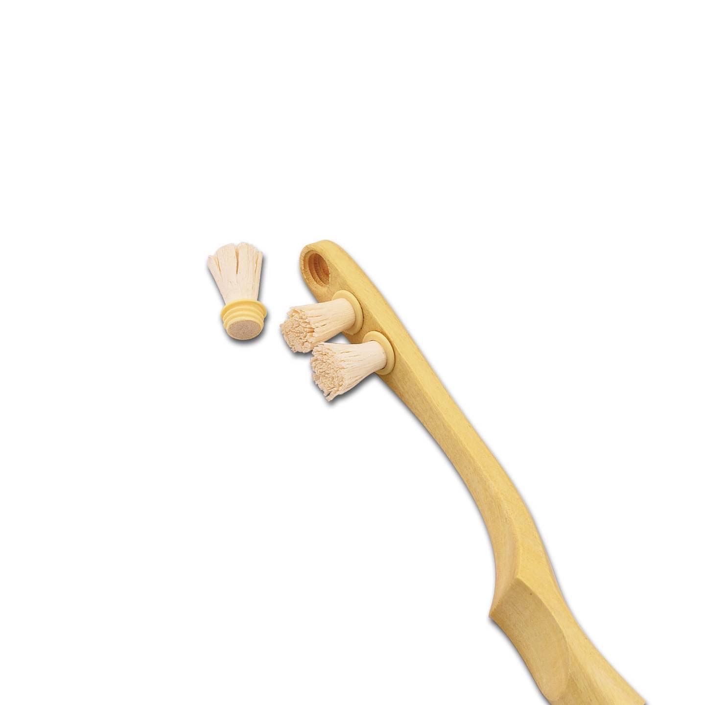Miswak Zahnbürste - Hadiah