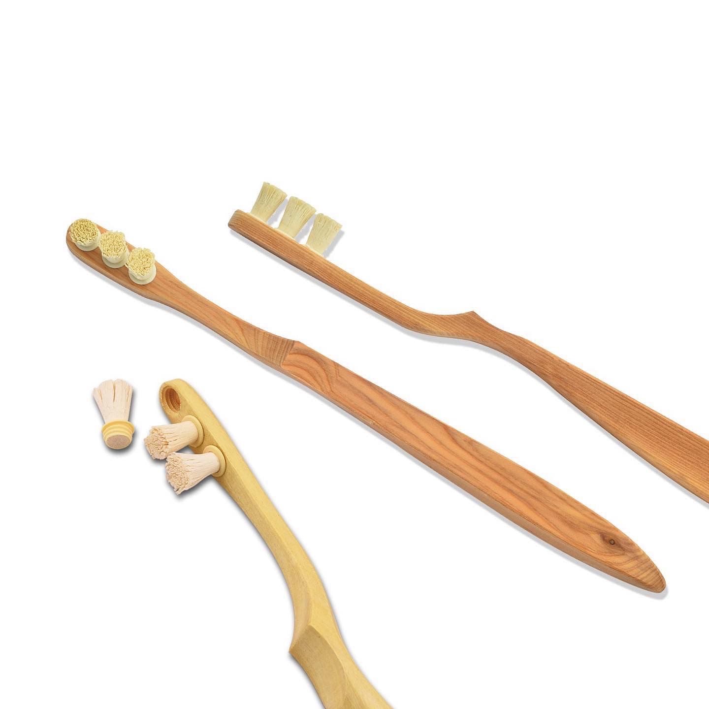 Miswak Zahnbürste - Hadiah