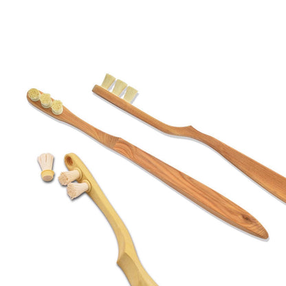 Miswak Zahnbürste - Hadiah